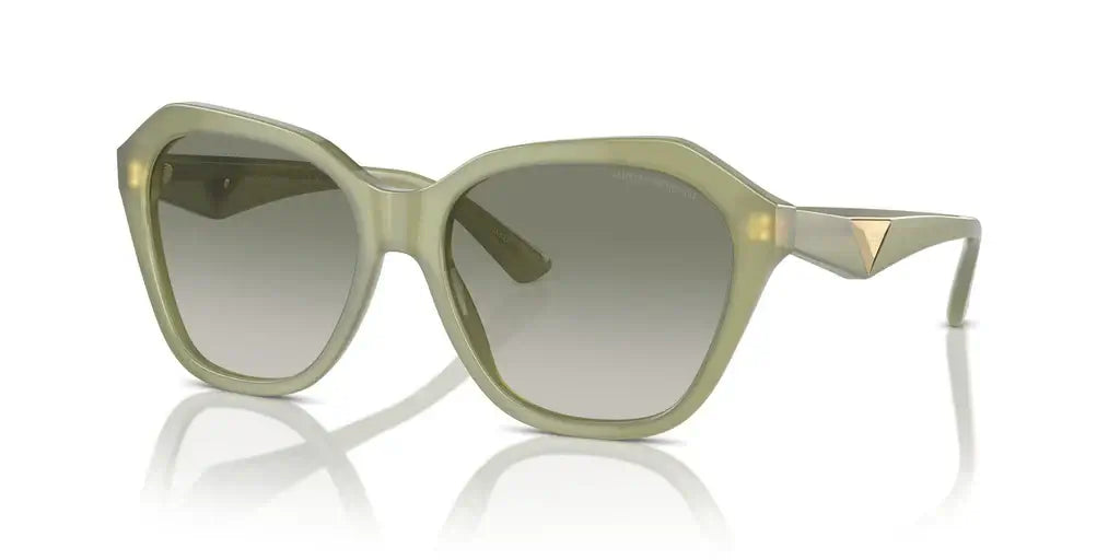 Emporio Armani EA4221
