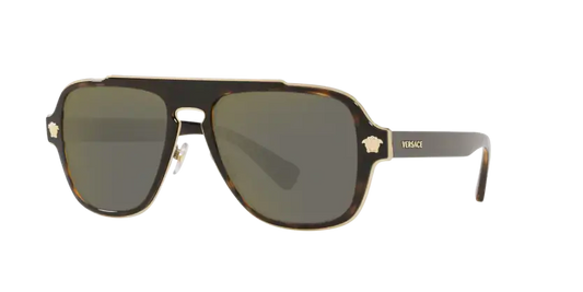 Versace 0VE2199 stylish sunglasses featuring a tortoiseshell frame and gradient lenses for a chic look.
